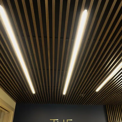 Striped ceiling tile with fluorescent lighting in Grand Forks